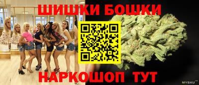мдпв Славгород
