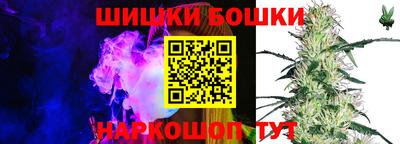 мдпв Славгород