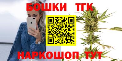 мдпв Славгород