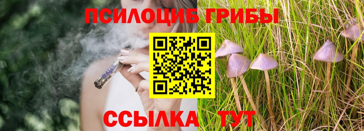Новочеркасск  Псилоцибиновые грибы GOLDEN TEACHER  Вход с VPN 